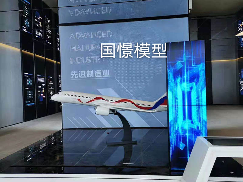 台州飞机模型
