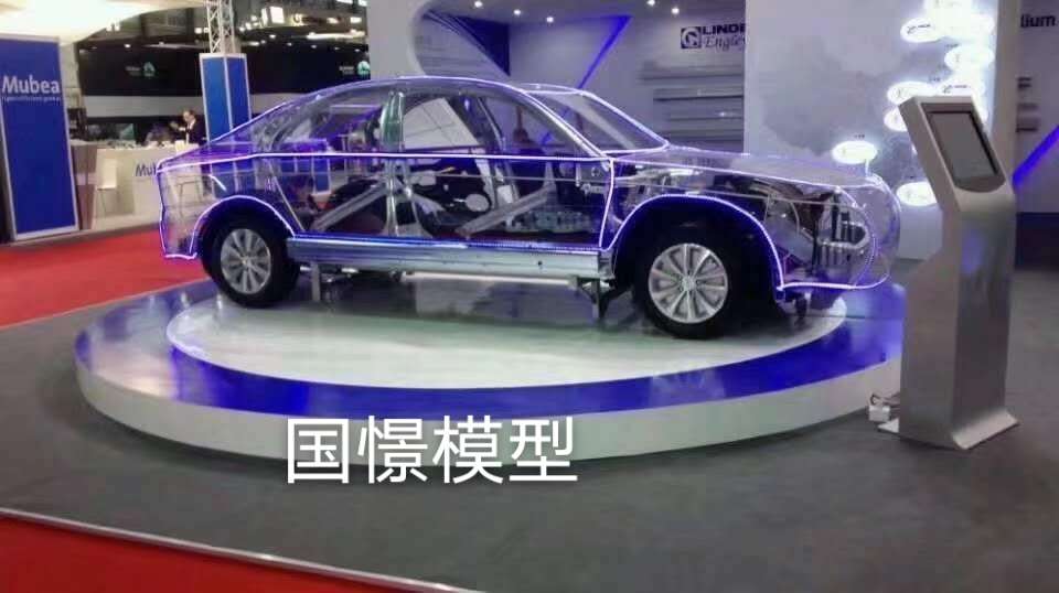 台州透明车模型